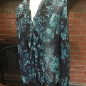 Blue & Blues Sheer, Ruffled, Long Sleeve Blouse